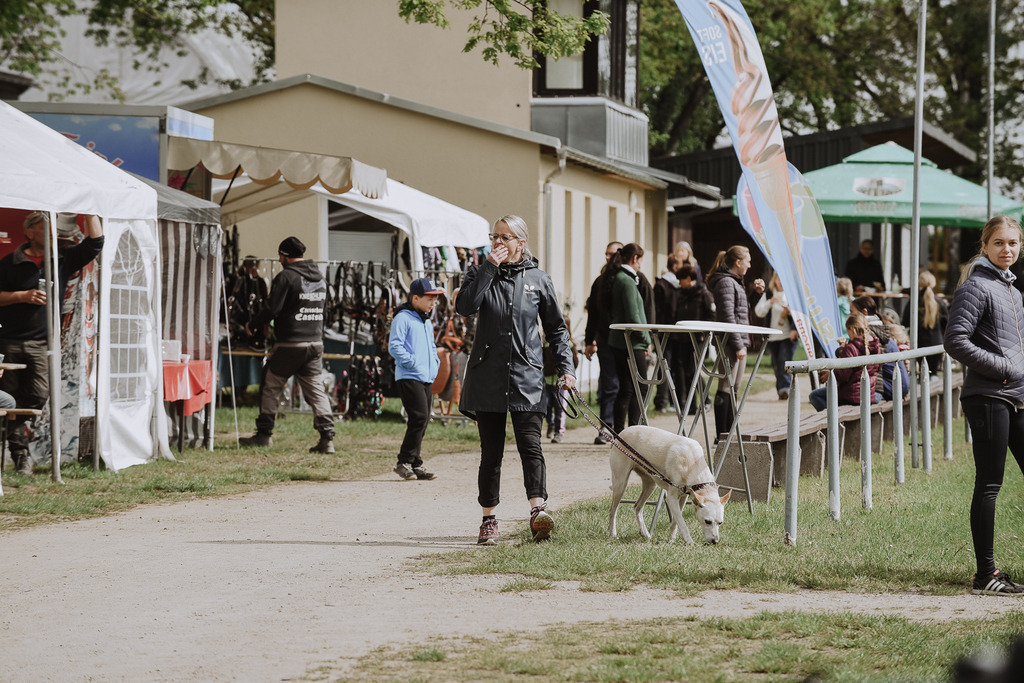 DSC_2167 | Pferde- und Turnierfotografie in Westsachsen. Pferdeportraits, Auftragszeichnungen und intuitive Kunst.