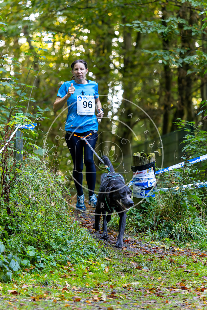 Pfotenfotografie_DV3A7812 | Hundefotografie, Tierfotograf, Pfotenfotografie, Fotoshooting Hund, Hunde Portrait, Hundesport, Hundeportraits, Heideshooting, Hunde, Sportfotograf, Hundefotograf, Turnierhundsport, THS,  - Realisiert mit Pictrs.com