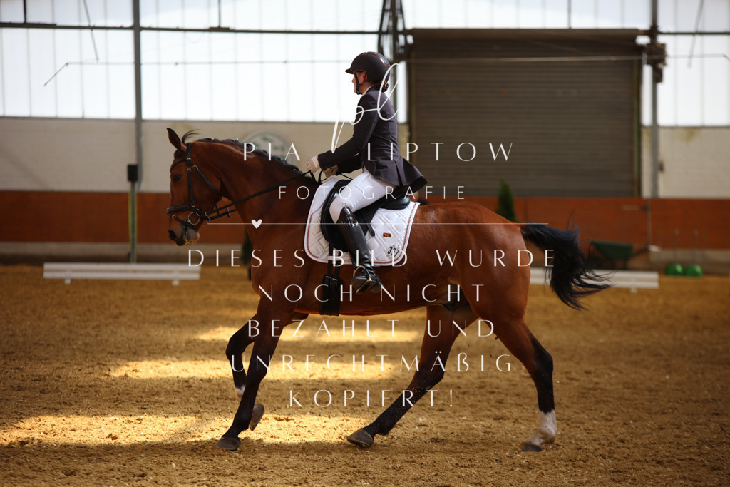 IMGT4990 | pl-fotografie