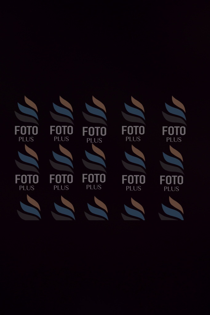 _DSC4447 | holidayphoto