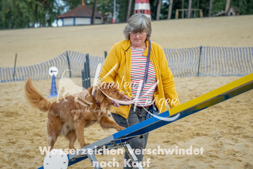 0911_ZZ92012-Bearbeitet | kk-dogfotos