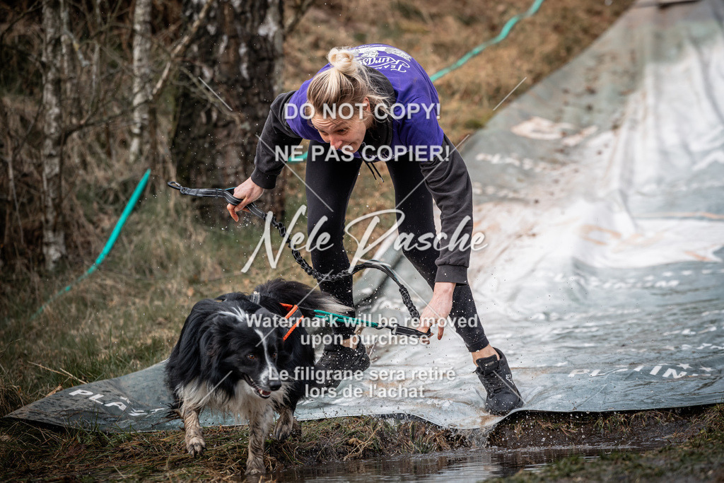 nelerasche_1330-1400_316 | nelerasche