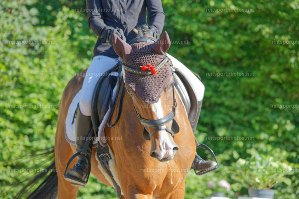 JHE_0928 | JoYa Fotografie - Realisiert mit Pictrs.com