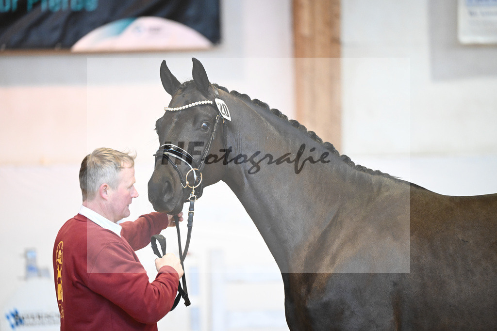 Kat-Nr. 20 v. Marc Cain_Seiler_6240430 | hf-fotografie - Realisiert mit Pictrs.com