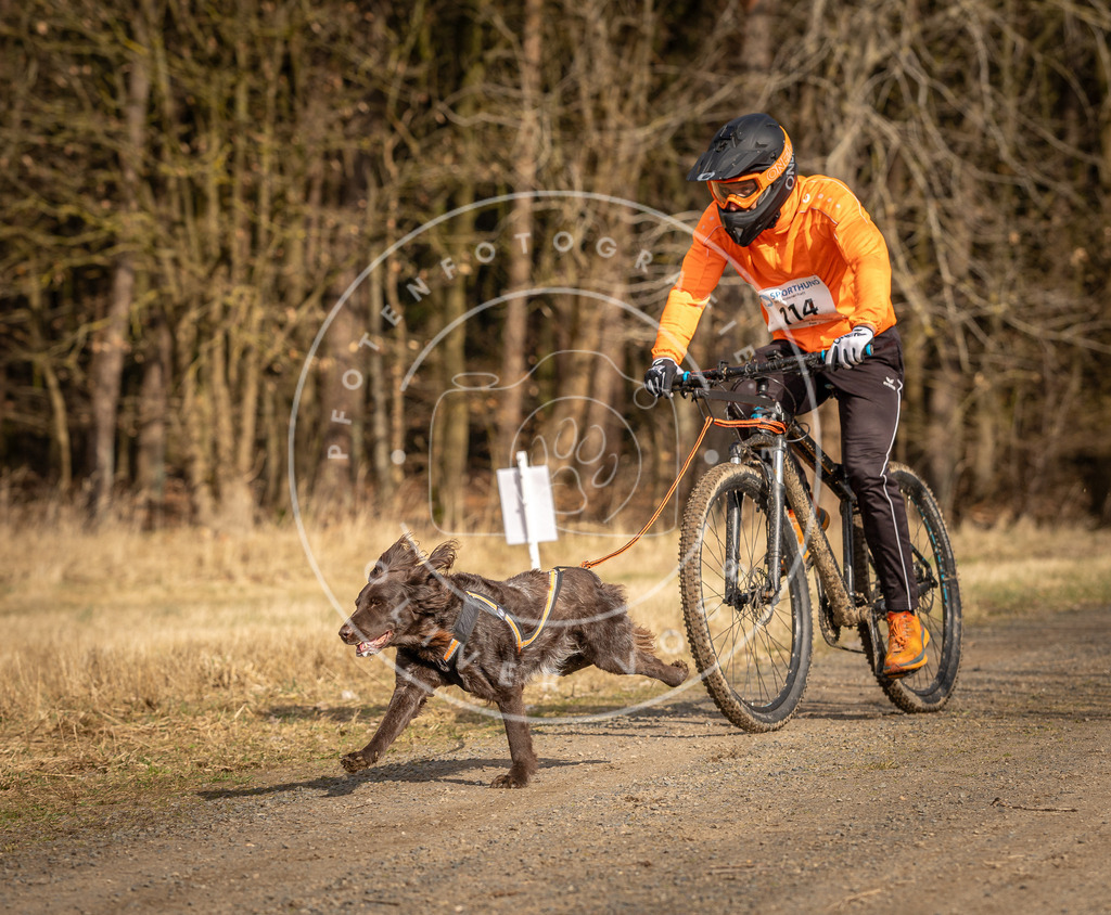 DV3A4464 | Hundefotografie, Tierfotograf, Pfotenfotografie, Fotoshooting Hund, Hunde Portrait, Hundesport, Hundeportraits, Heideshooting, Hunde, Sportfotograf, Hundefotograf, Turnierhundsport, THS,  - Realisiert mit Pictrs.com