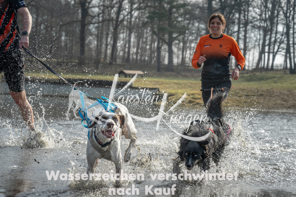 1037_ZZ98570 | kk-dogfotos