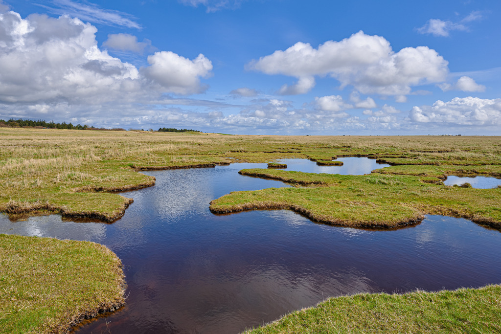 Nordseeküste bei St. Peter-Ording | Mit beeindruckender Weite präsentiert sich hier die Nordseeküste bei St. Peter-Ording im frühen Frühjahr. Die Nordsee hat hier zahlreiche Priele und Tümpel hinterlassen. - Realisiert mit Pictrs.com
