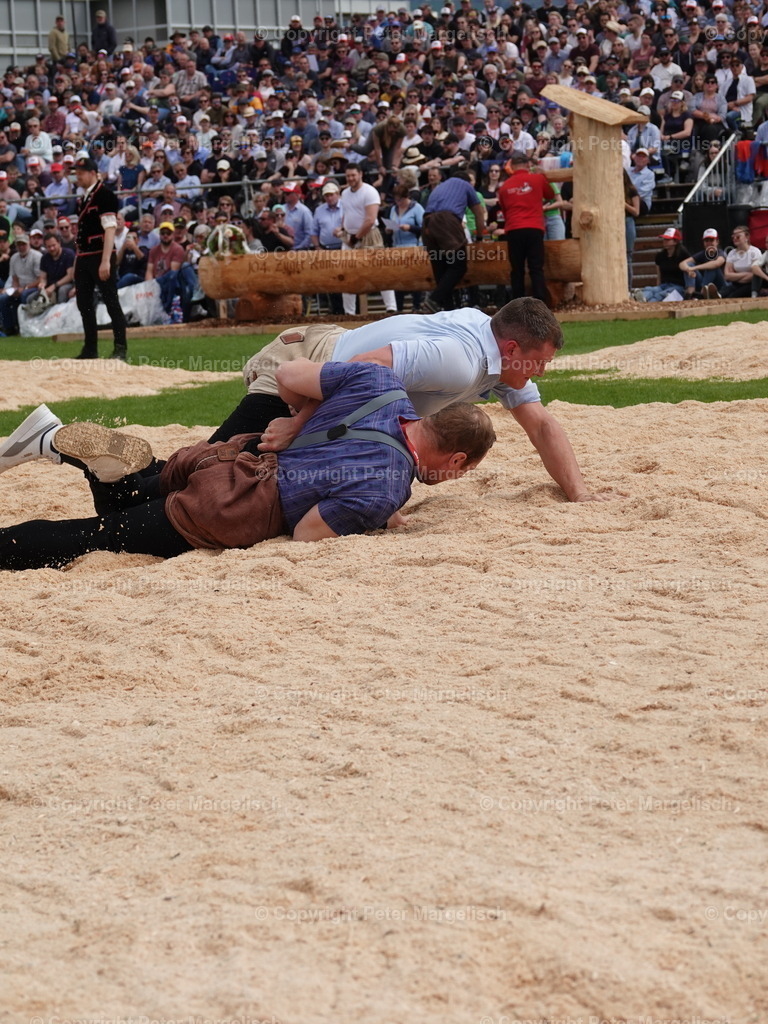 DSC06406 | Schwingen - Realisiert mit Pictrs.com