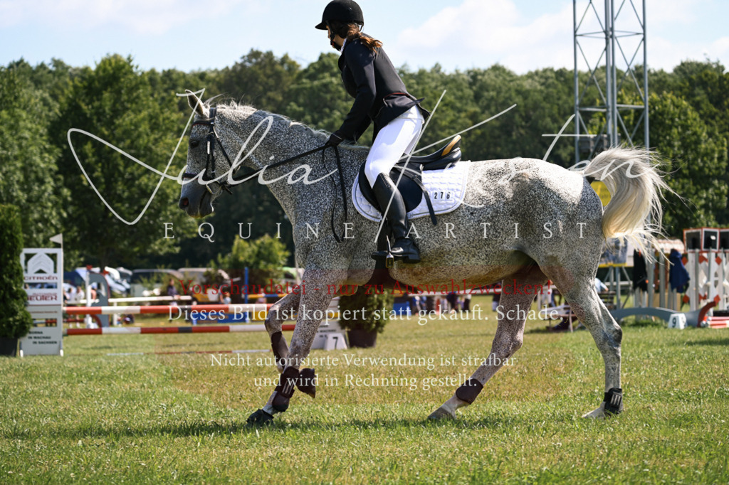 DSC_8982 | Pferde- und Turnierfotografie in Westsachsen. Pferdeportraits, Auftragszeichnungen und intuitive Kunst.