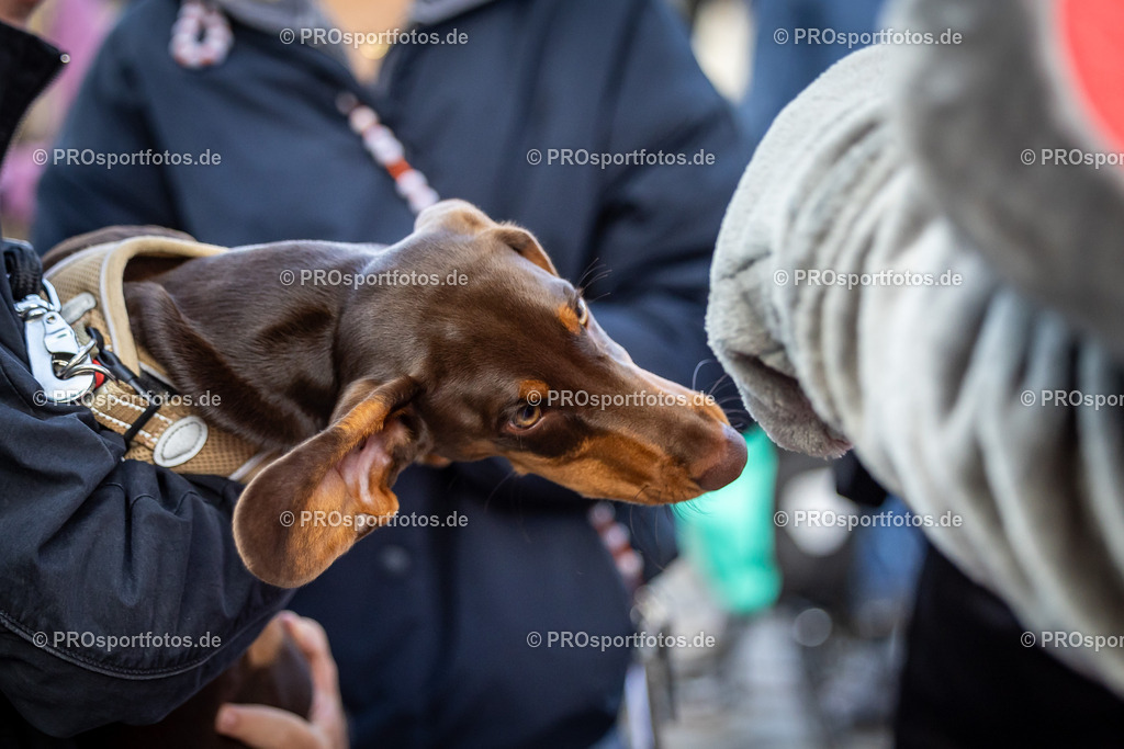 44. Kölner Brückenlauf; Koeln, 14.09.25 | Impressionen vom 44. Kölner Brückenlauf am 14.09.25 am Schokoladenmuseum in Koeln. Foto: BEAUTIFUL SPORTS/Leah Kohring