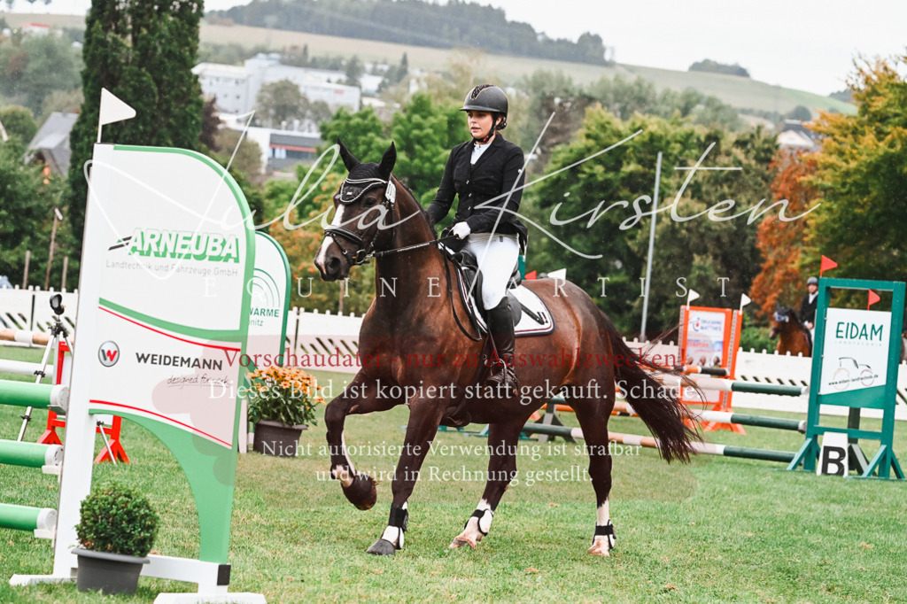 DSC_6309 | Pferde- und Turnierfotografie in Westsachsen. Pferdeportraits, Auftragszeichnungen und intuitive Kunst.