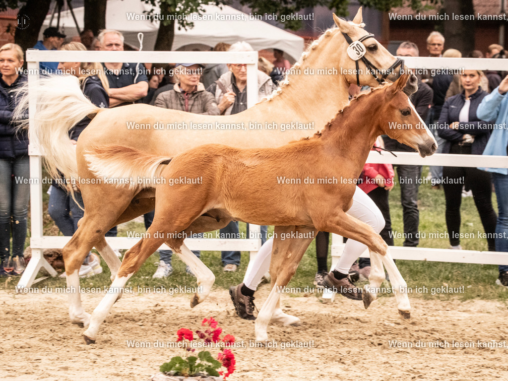 A10I2374 15.54.45 | photographylinaismer - Realisiert mit Pictrs.com