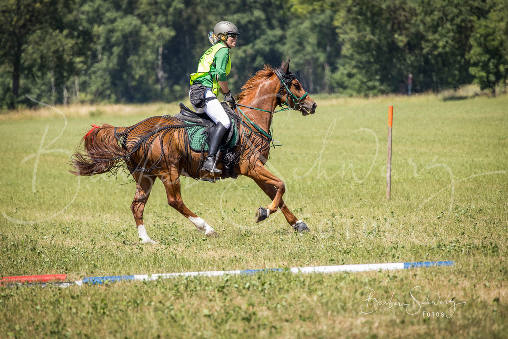 CJP_2026-06-26_21 | Stimmungsvolle Fotografie von Pferden, fotografische Begleitung von Veranstaltungen, Golfturnieren und Distanzritten - Realisiert mit Pictrs.com
