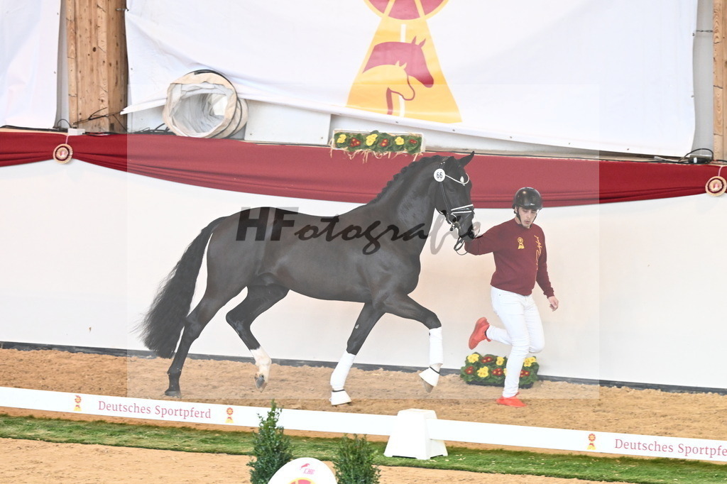 Kat.-Nr. 66 v. Taurus_Beckmann_2240863 | hf-fotografie - Realisiert mit Pictrs.com