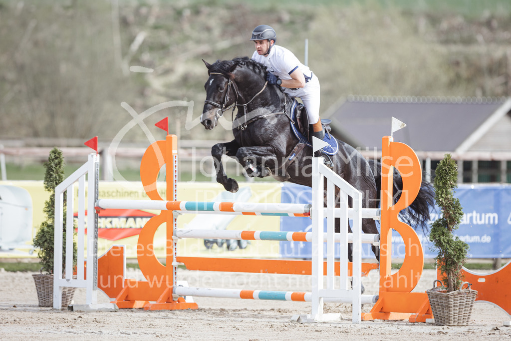 220413_LateEntry_MzH_SprPf-M-119 | Frühlingsfest der Pferde 
Outdoor Late Entry in Herford 
Springpferde-L
Springpferde-M*