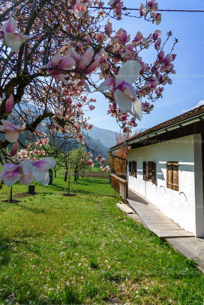 Stumm im Frühling copyright  Thomas Pfister-10 | PHOTOGRAPHY BY THOMAS PFISTER