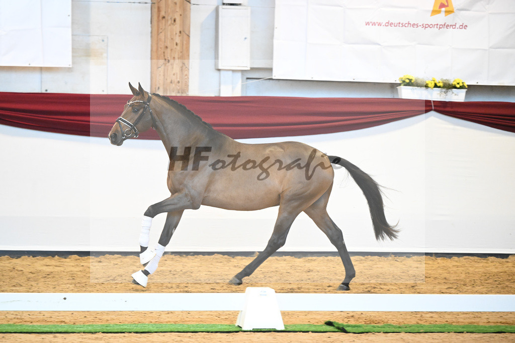Kat-Nr. 11 v. Borsalino_Koegler u Schuhmacher_66220121 | hf-fotografie - Realisiert mit Pictrs.com