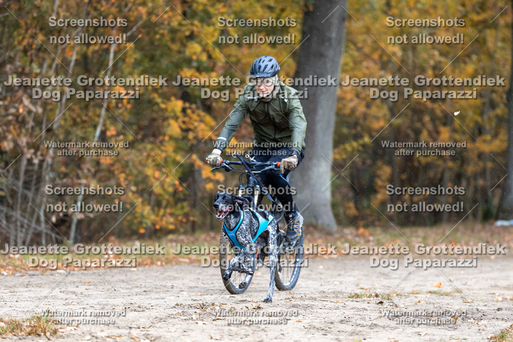 Dog Paparazzi - SD CaniX Championship 2025-196 | Dog Paparazzi Jeanette Grottendiek Fotografie & Videografie - Realisiert mit Pictrs.com