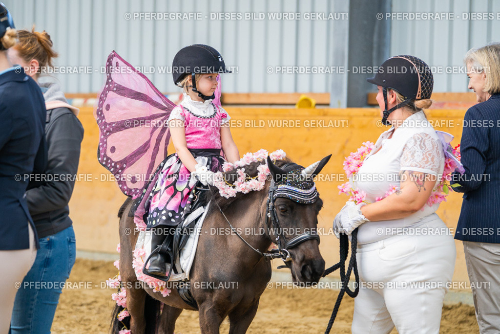 DSC00276 | Pferdegrafie