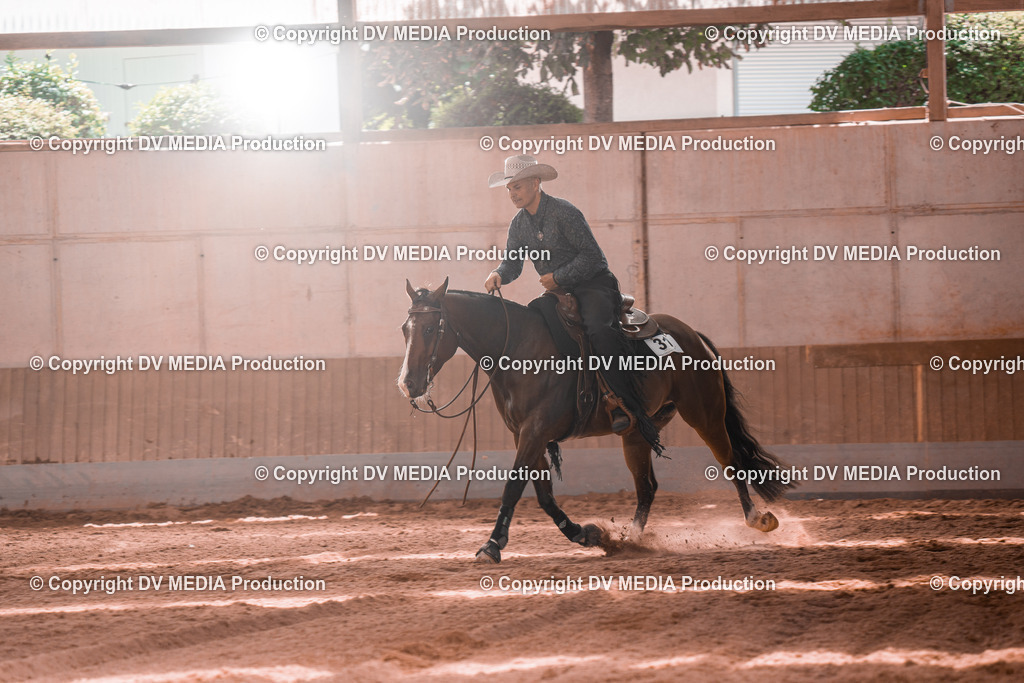 NE100697 | dv-media-shop - Realisiert mit Pictrs.com