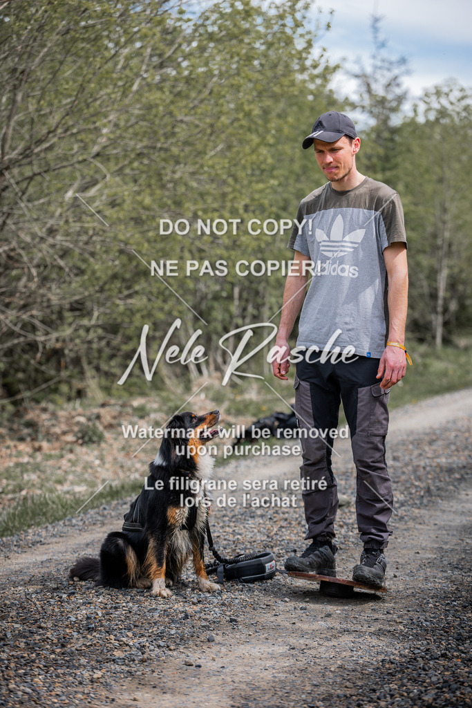 6Z1A2041 | nelerasche
