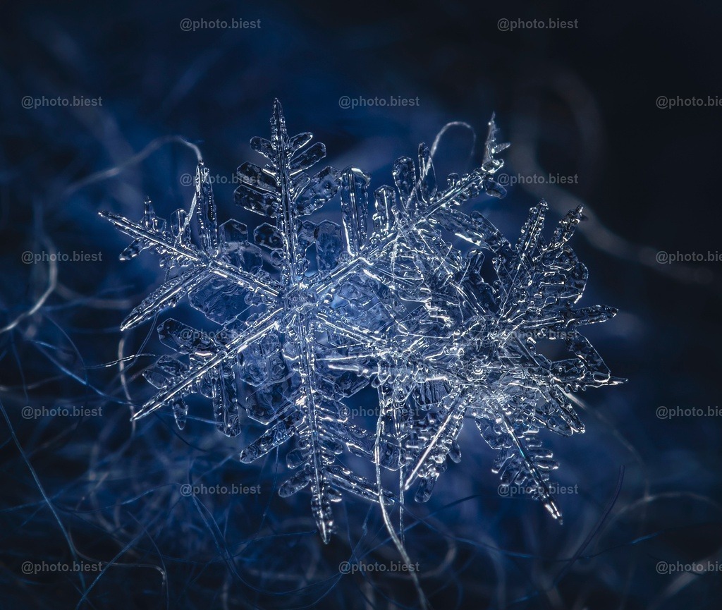 Schneeflocke #11 | Eine (von vielen) filigranen Schneeflocken in meinem ersten Makro-Schneeflocken-Winter. - Realisiert mit Pictrs.com