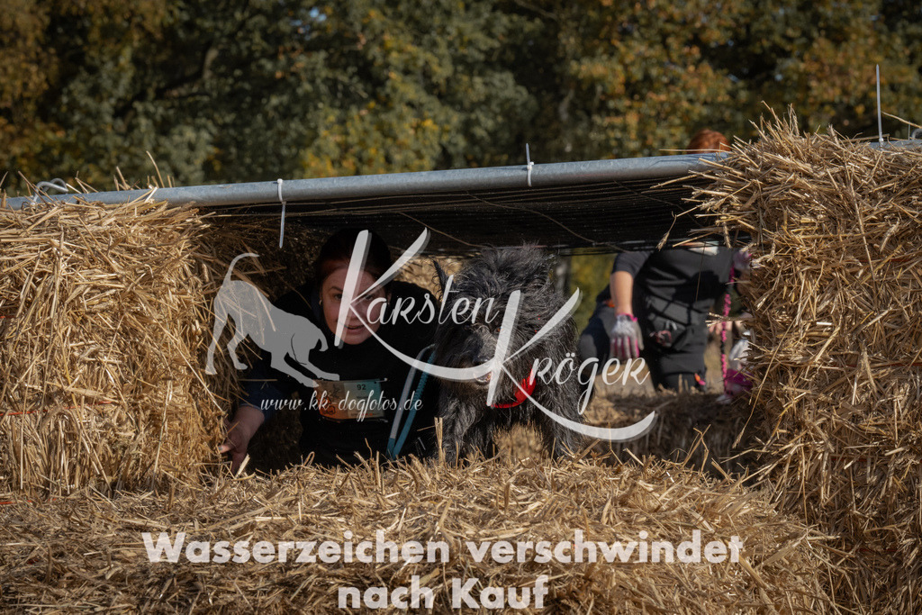 1140_ZZ92425 | kk-dogfotos