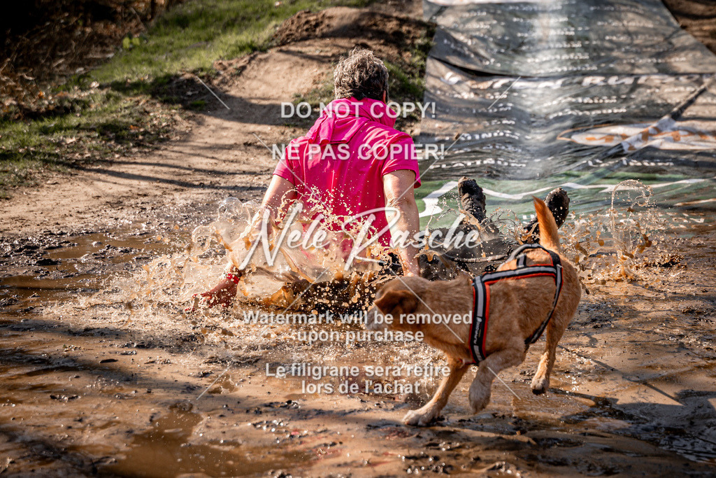 nelerasche_Hulsbeek_So1300-1330_186 | nelerasche