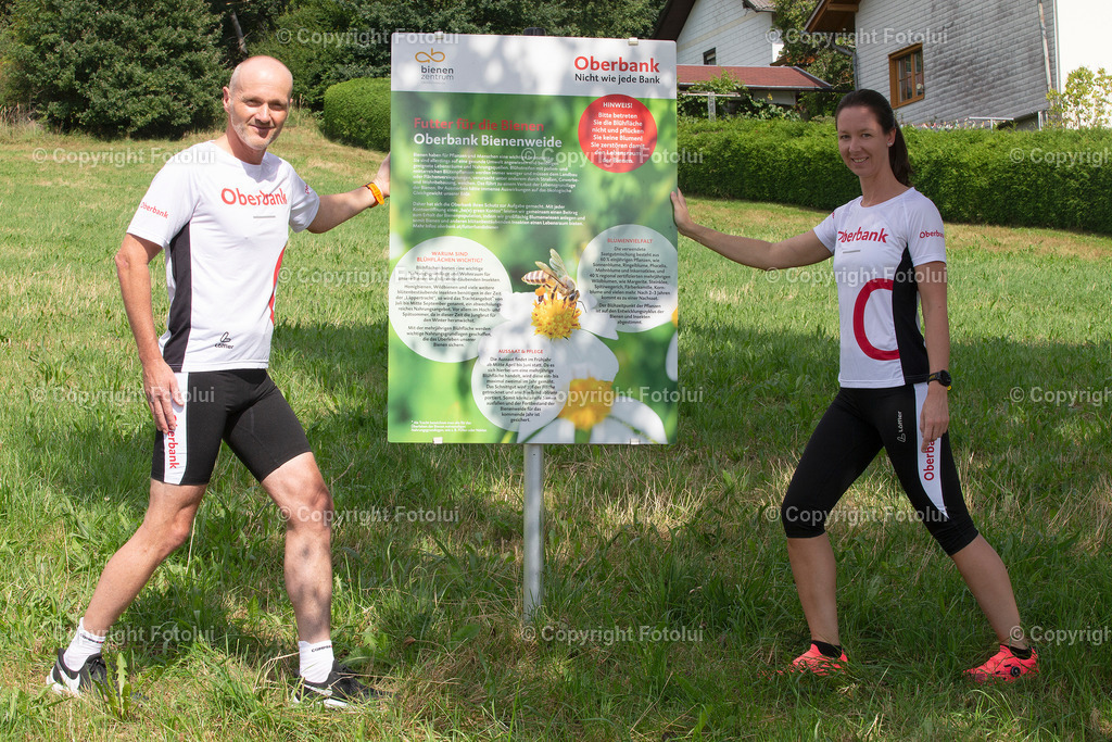 OBERBANKBIENENWIESE_260822_03 | bilder, linz, photo, foto, fussball, sport, fotolui, bundesliga