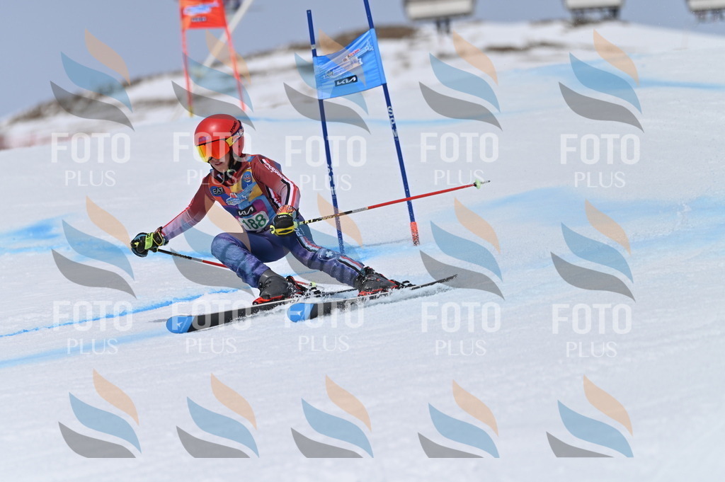 BGV_3655 | holidayphoto