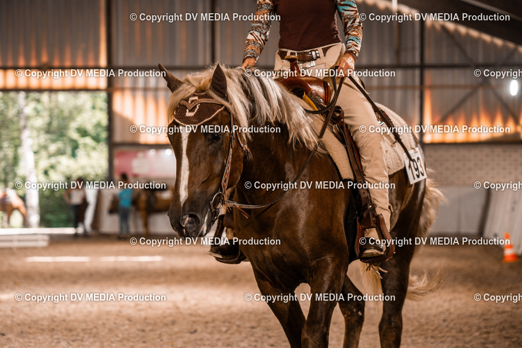 ZH100072 | dv-media-shop - Realisiert mit Pictrs.com