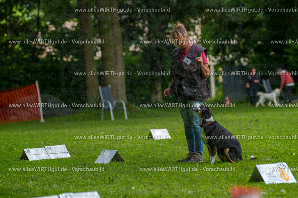 @allesWIRTHgut_Tierfotografie - www.allesWIRTHgut.de - 7R503397 | Professionelle Tierfotografie in Mönchengladbach von Daniel Wirth (allesWIRTHgut). Liebevolle & natürliche Bilder von Hunden & Katzen für unvergessliche Erinnerungen.