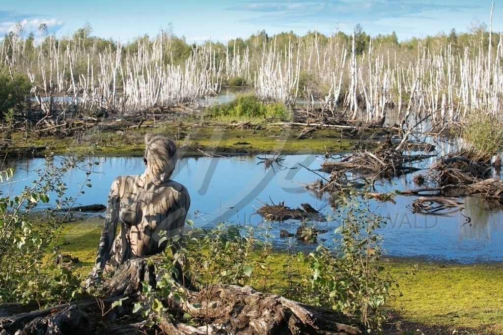 NatureArt-TORFBIRKEN_7028 | Wasser am Torfmoor | #001 | Modell: Anna-Lena | Foto: Peter Bunn - Realisiert mit Pictrs.com