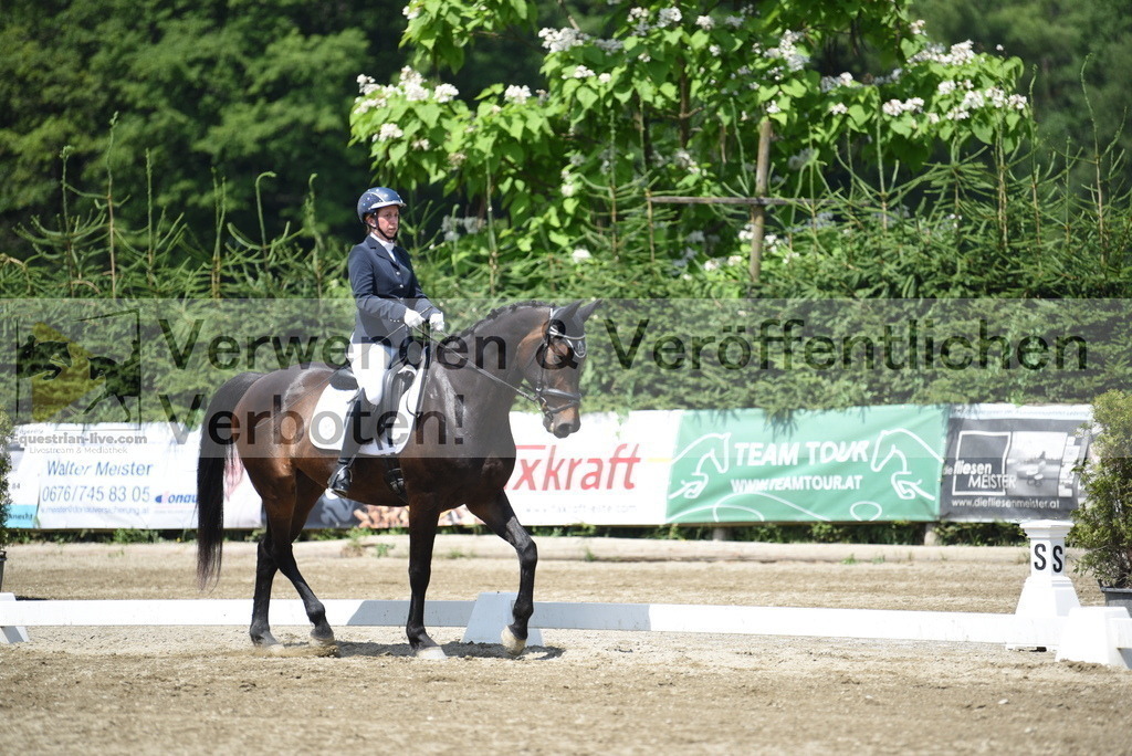 DSC_8941 | equestrian-live-com
