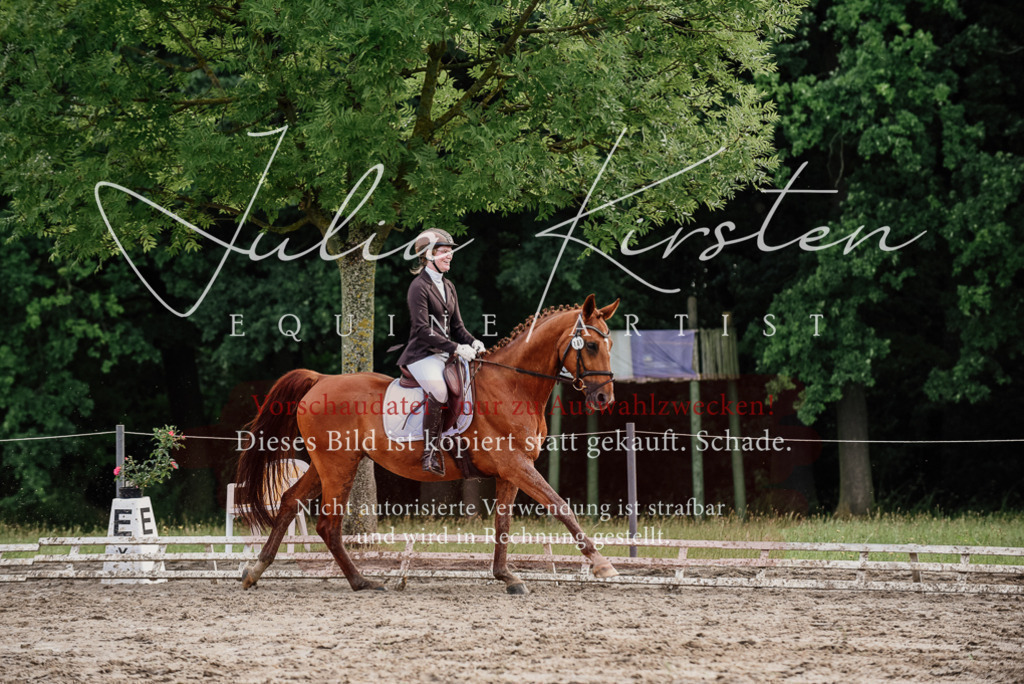 DSC_9713 | Pferde- und Turnierfotografie in Westsachsen. Pferdeportraits, Auftragszeichnungen und intuitive Kunst.