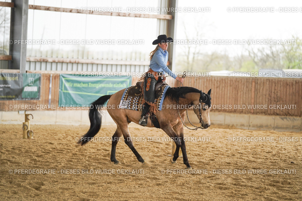 DSC03450 | Pferdegrafie