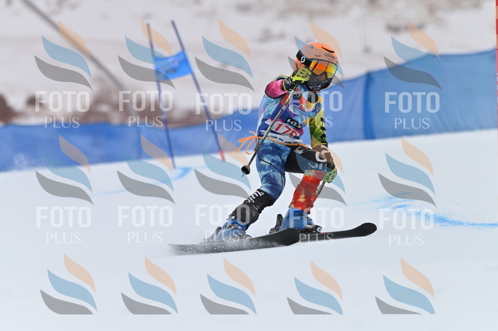 BGV_0988 | holidayphoto