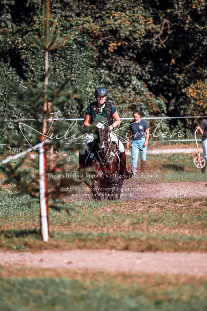 DSC_0912 | Pferde- und Turnierfotografie in Westsachsen. Pferdeportraits, Auftragszeichnungen und intuitive Kunst.