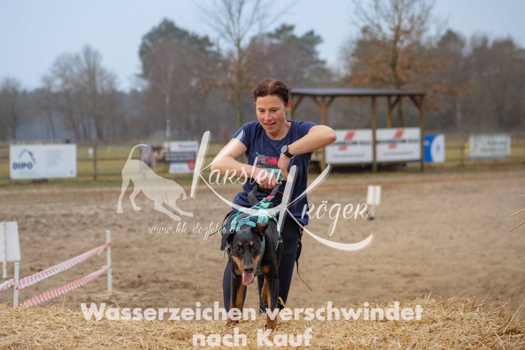 0804_ZZ92035-Bearbeitet | kk-dogfotos