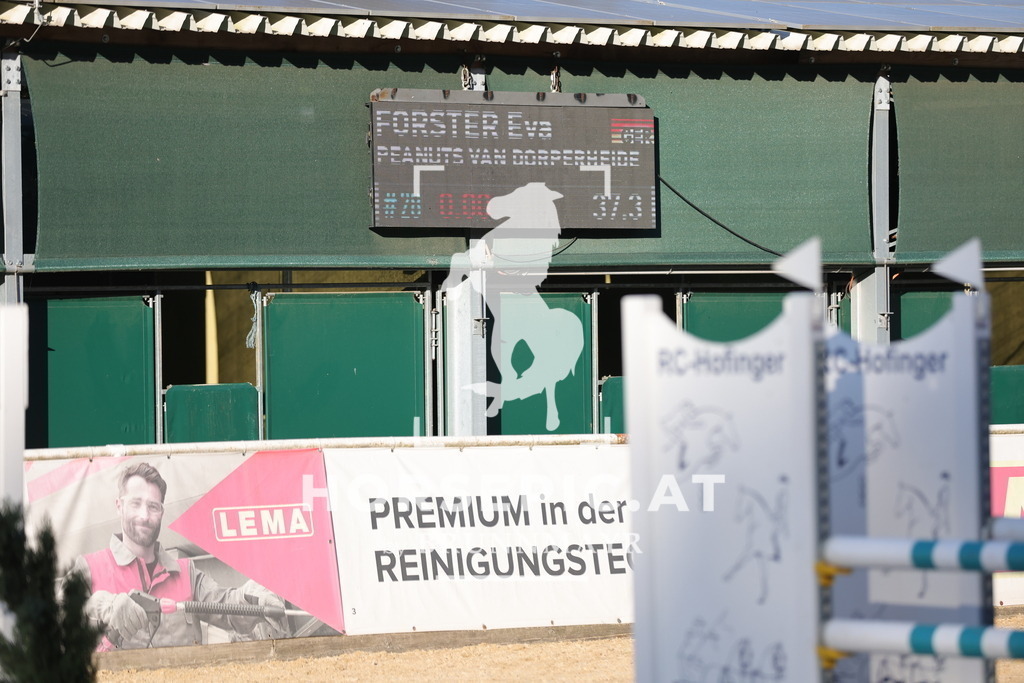 0P6A1947 | Willkommen bei Brunnmayr - Design & Fotografie – Ihrem Spezialisten für Reitturniere und Pferdeveranstaltungen in Oberösterreich, Salzburg und Bayern! Seit über 17 Jahren sind wir leidenschaftlich dabei.