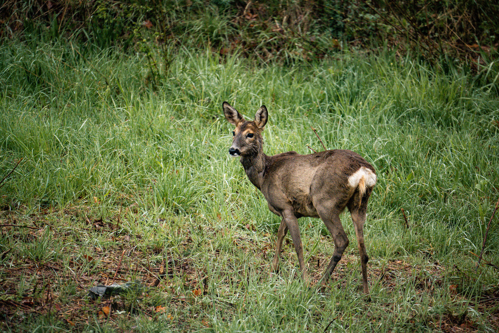 DSC07317 | <meta name="keywords" content="Bergbilder, Hochzeitsfotografie, Actionshootings, Fotografiearbeiten, Berglandschaften, Naturfotografie">

 - Realisiert mit Pictrs.com