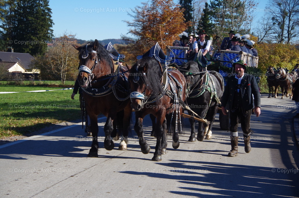 IMGP8091 | fotografiert von Axel PollmannLeonhardi Wallfahrt Benediktbeuern und Murnau, Fronleichnam, Fasching, Landschaft im Loisachtal und Benediktbeuern  - Realisiert mit Pictrs.com