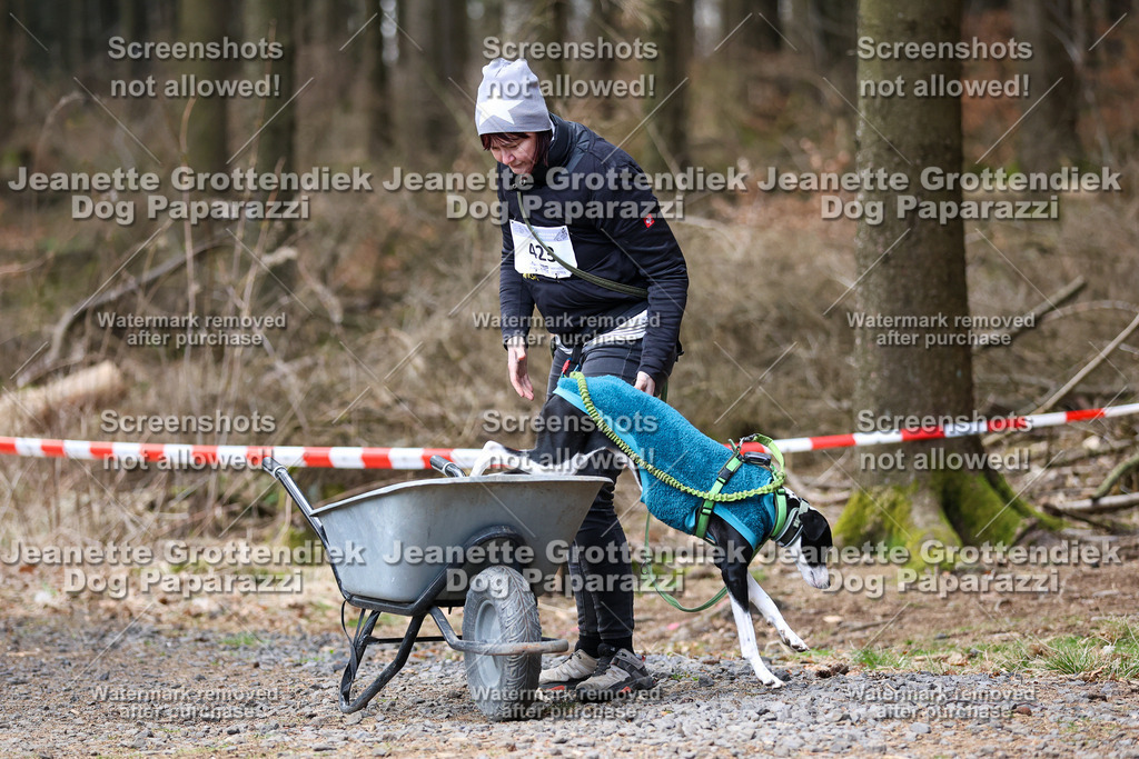Dog Paparazzi - VCC26-851 | Dog Paparazzi Jeanette Grottendiek Fotografie & Videografie - Realisiert mit Pictrs.com