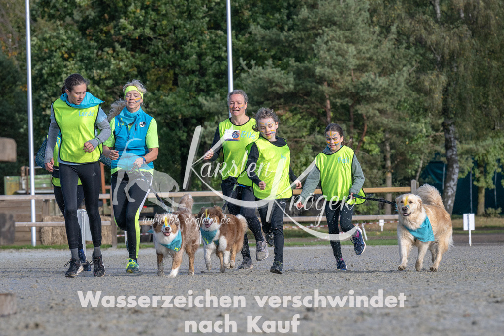 1053-_ZZ93136 | kk-dogfotos