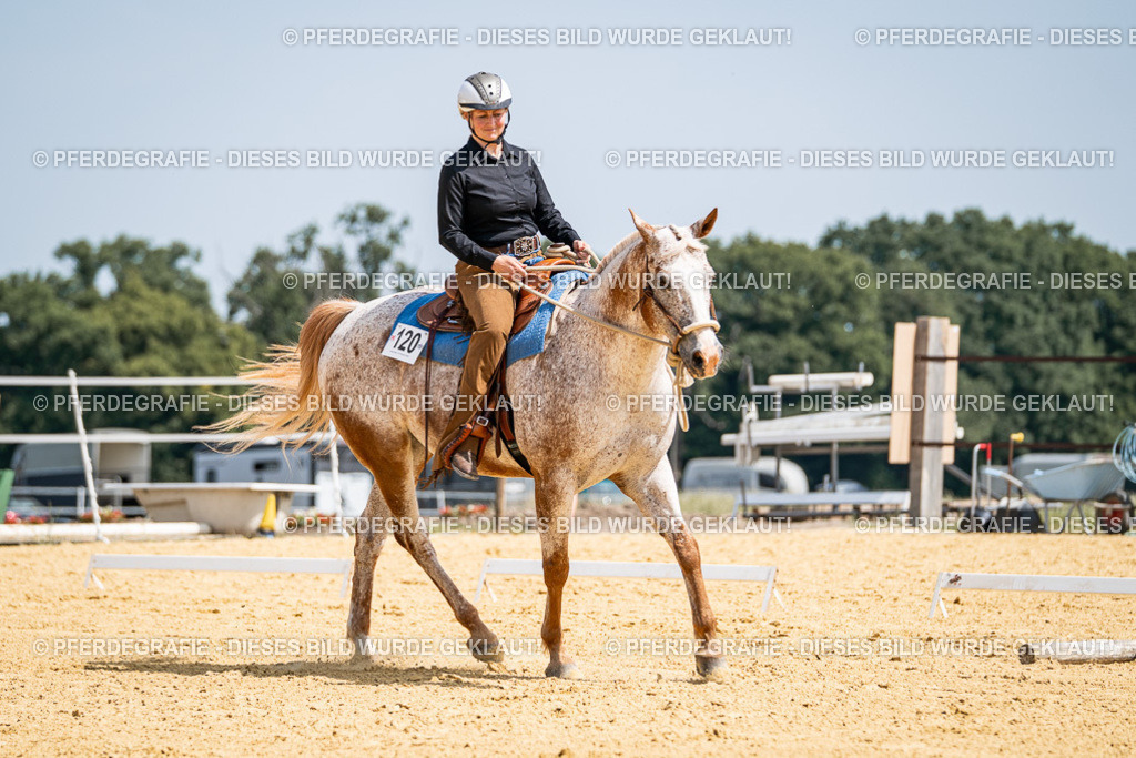 DSC00552 | Pferdegrafie