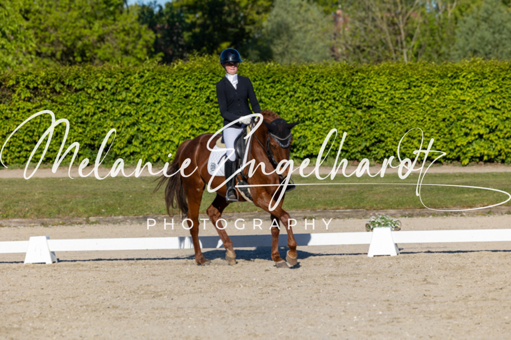 7I8A8372 | melanie-engelhardt-photography - Realisiert mit Pictrs.com