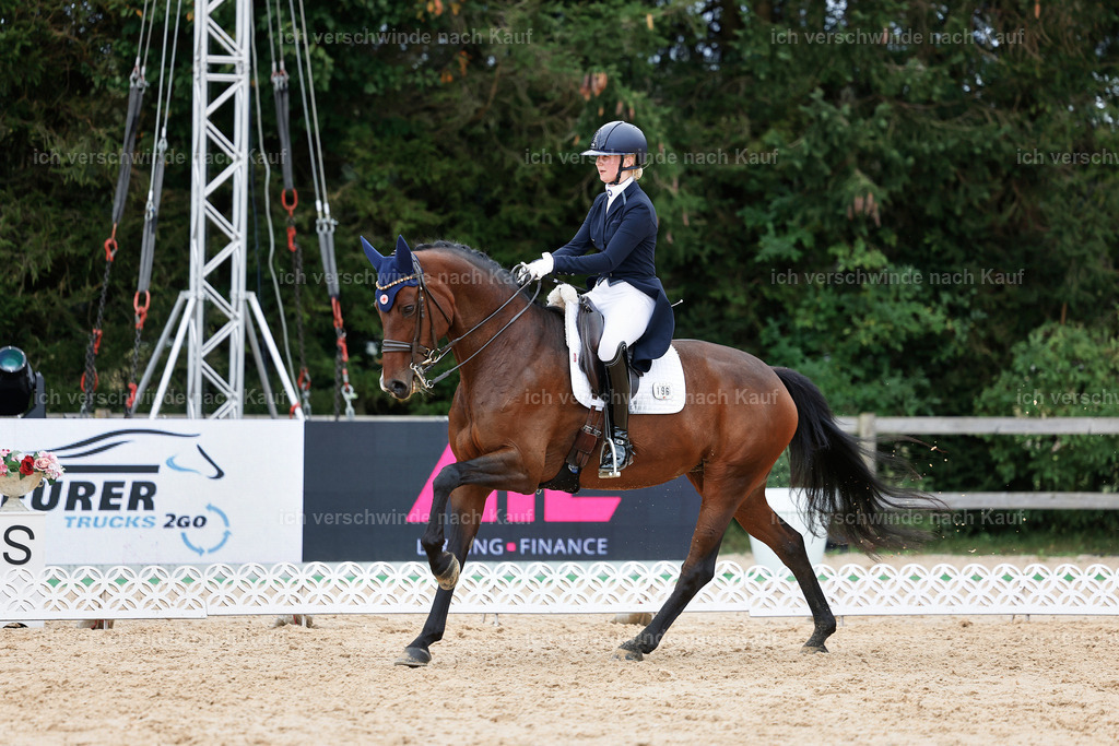 6-196-AMATUER-DRESSUR S_  -StoibPH-3523 | working equitationturnier fotograf videograf stoibphotography marixx film working equitation deutschland reitsport turnierfotografie eventfotografie equestrian events