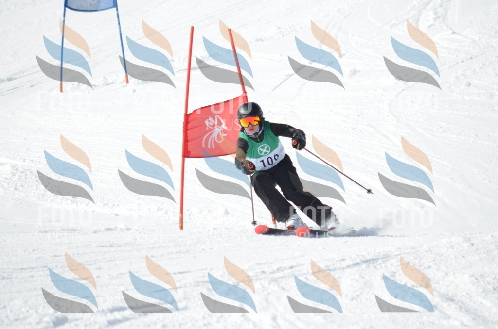 D9160 | holidayphoto