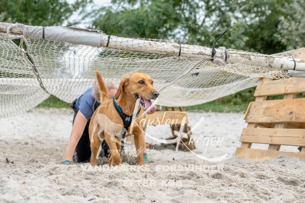 1516_ZZ93859 | kk-dogfotos