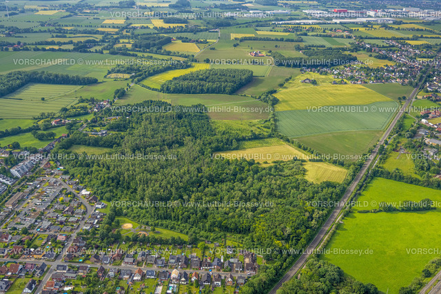 Hamm220601922 | Luftbild, Waldgebiet mit Wiesen und Felder zwischen Ortsteil Lohauserholz und Wiescherhöfen,, Pelkum, Hamm, Ruhrgebiet, Nordrhein-Westfalen, Deutschland